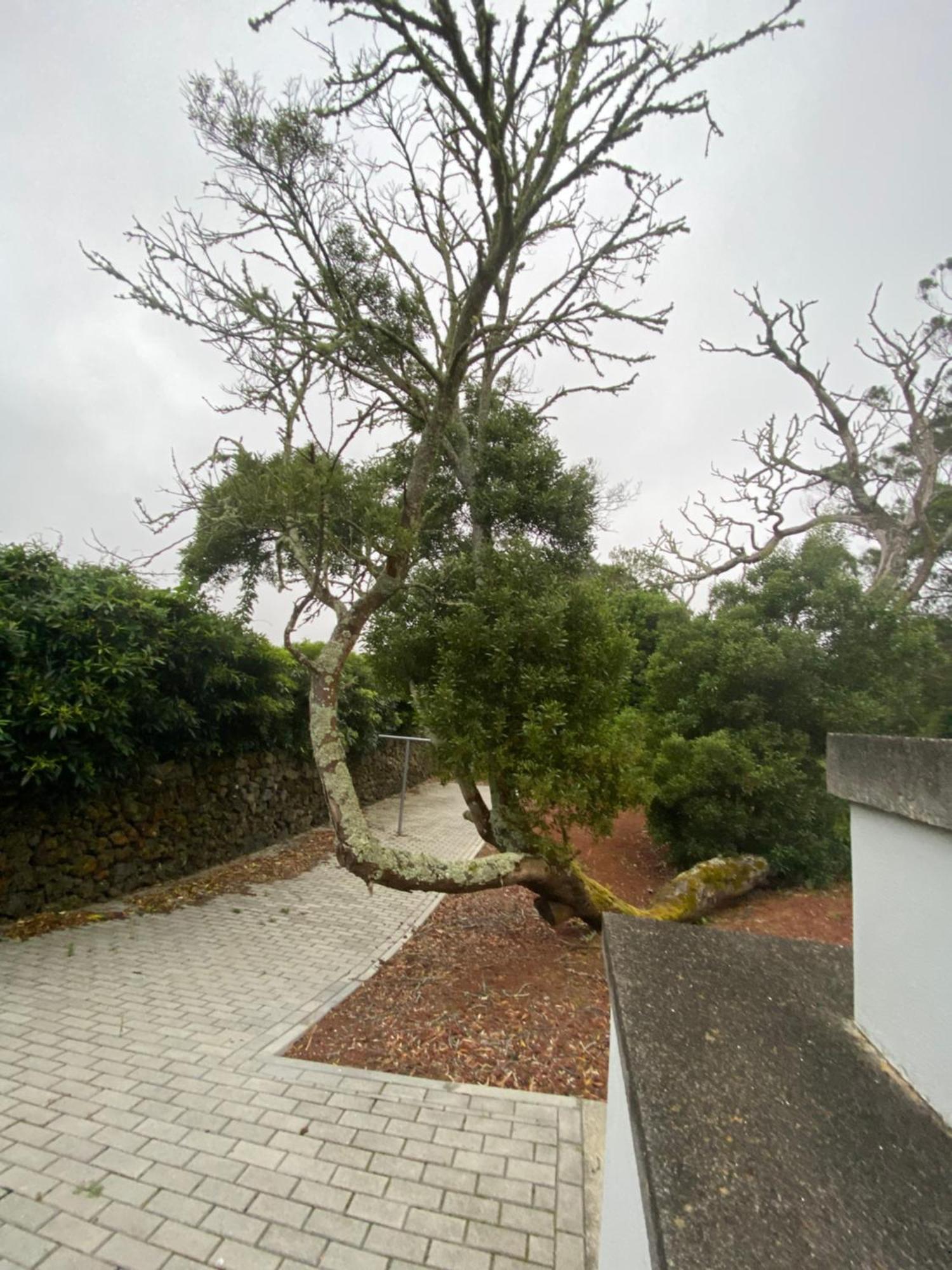 Casa Azul Terceira Island Azores Fonte do Bustardo Bagian luar foto
